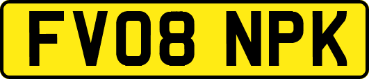 FV08NPK