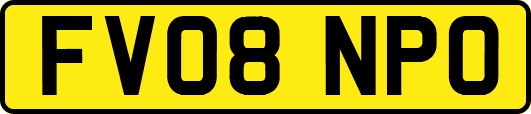FV08NPO