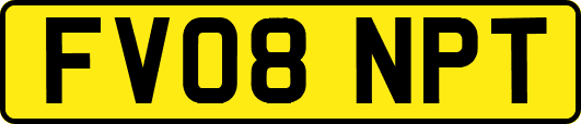 FV08NPT