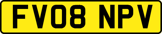 FV08NPV
