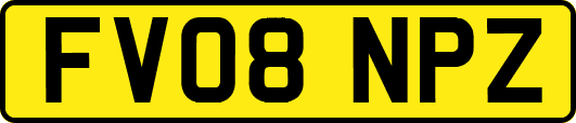 FV08NPZ