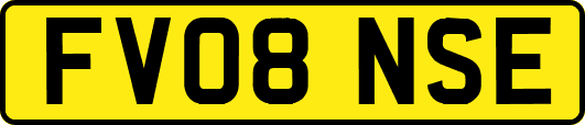 FV08NSE
