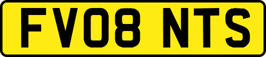 FV08NTS