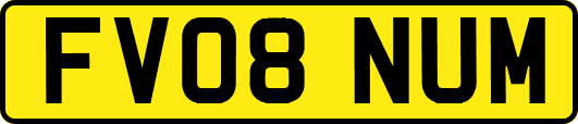 FV08NUM
