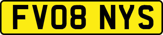 FV08NYS