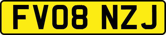 FV08NZJ