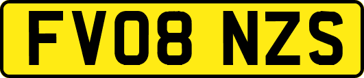 FV08NZS