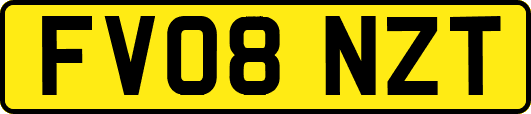 FV08NZT