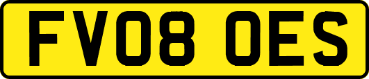 FV08OES