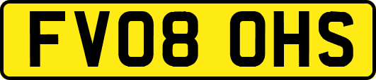 FV08OHS