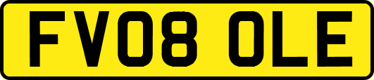 FV08OLE