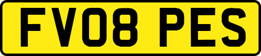 FV08PES