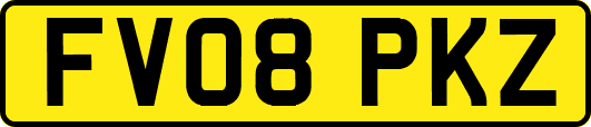 FV08PKZ