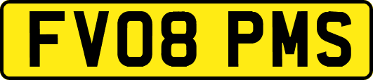 FV08PMS