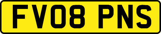 FV08PNS