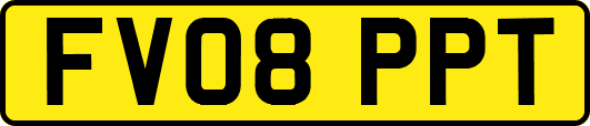 FV08PPT