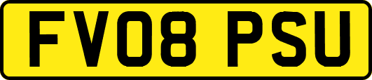 FV08PSU