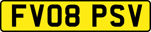FV08PSV