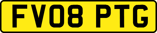 FV08PTG
