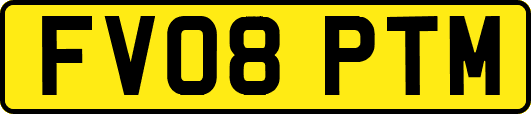 FV08PTM