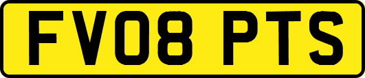 FV08PTS