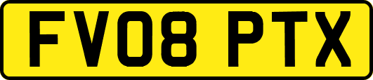 FV08PTX