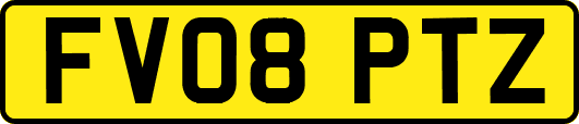 FV08PTZ