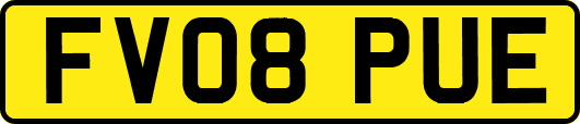 FV08PUE