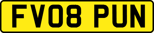FV08PUN
