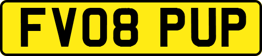 FV08PUP