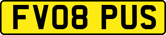 FV08PUS