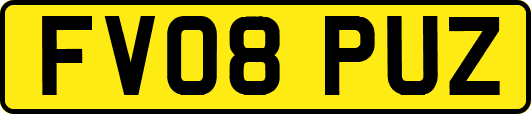 FV08PUZ