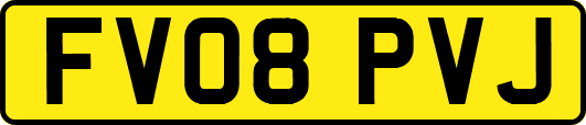 FV08PVJ