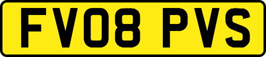 FV08PVS