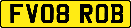FV08ROB