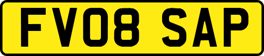 FV08SAP
