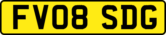 FV08SDG