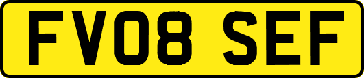 FV08SEF