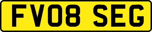 FV08SEG