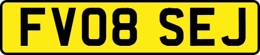 FV08SEJ