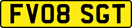 FV08SGT