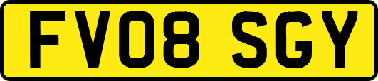 FV08SGY