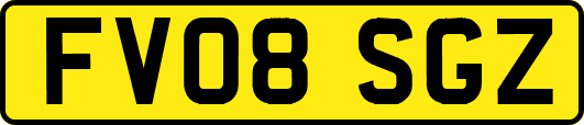 FV08SGZ
