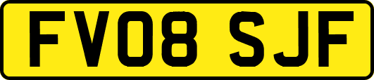 FV08SJF