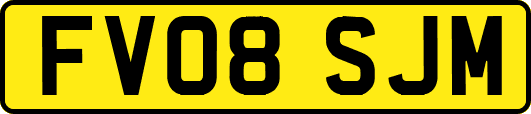 FV08SJM