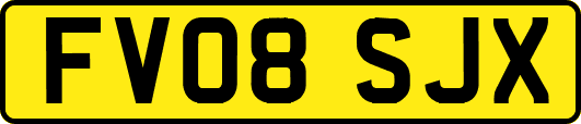 FV08SJX