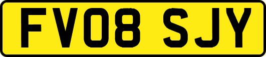 FV08SJY