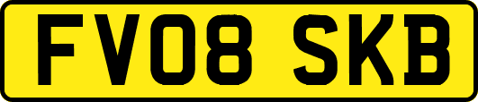 FV08SKB
