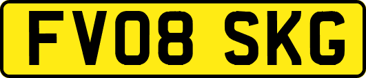 FV08SKG