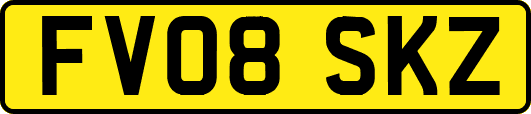 FV08SKZ